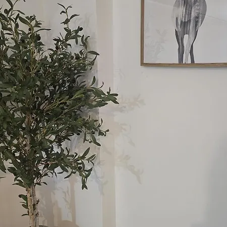 Апартаменти Menina Santa Ana Кордова