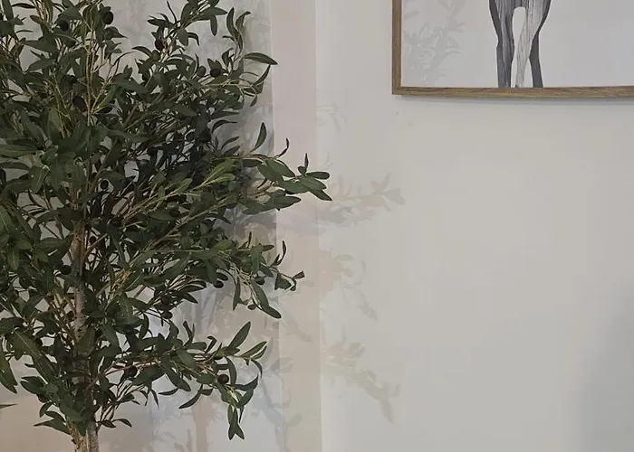 Lägenhet Menina Santa Ana Córdoba